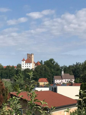 House with castle view & art
